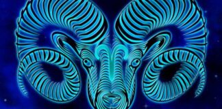 aries