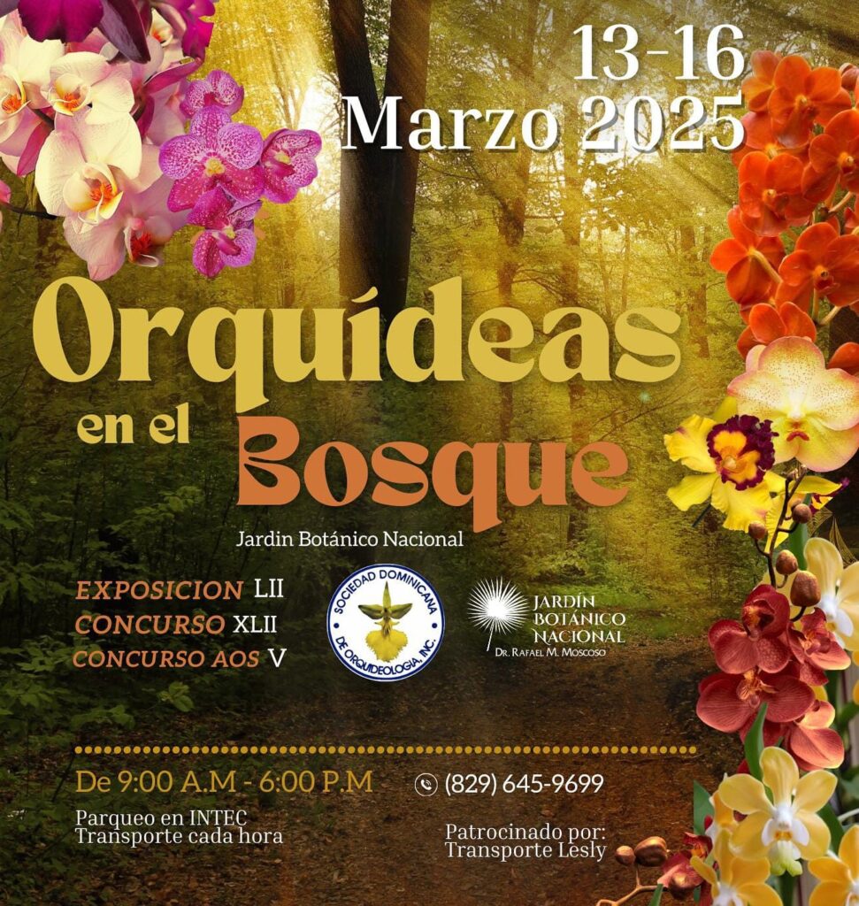 arte exposición de orquídeas