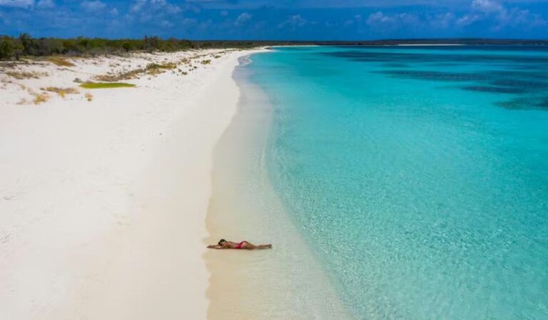 Bahía de las Águilas: El paraíso secreto del caribe dominicano