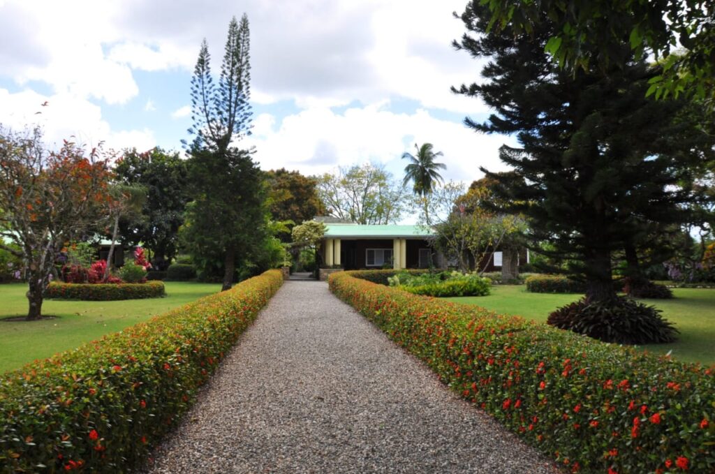 Camino de grava a una casa rodeada de exuberantes jardines.