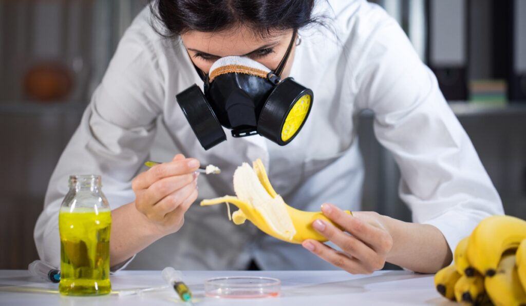 Científica con mascarilla examina un plátano en el laboratorio.