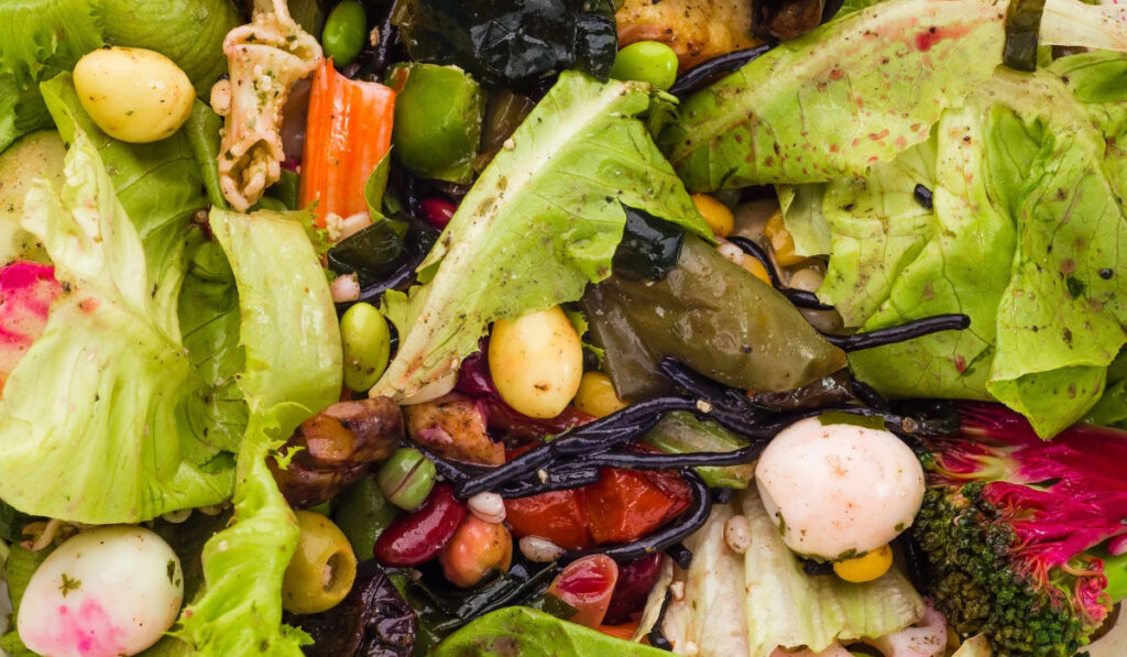 Primer plano de una ensalada colorida con lechuga, verduras y marisco.