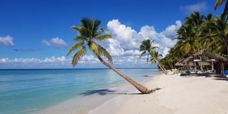 Conoce Samaná: Un Paraíso natural, cultural y de aventura en República Dominicana