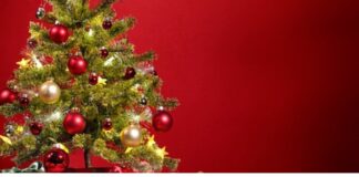 Cuál es la diferencia entre Nochebuena y Navidad