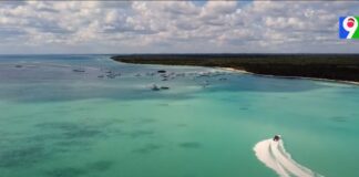 Denuncia violación derecho propiedad en Isla Saona