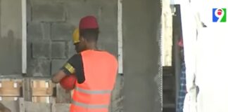 Deportación de haitianos perjudica al sector de Construcción