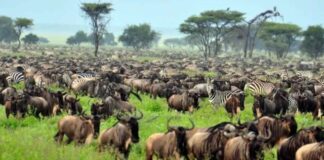 Destinos-turísticos-más-visitados-en-África