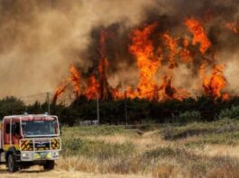 El-año-más-cálido-de-la-historia-con-récords-de-CO2,-sequías-y-desastres-climáticos-globales