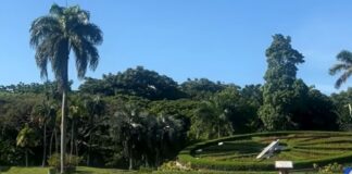 el jardín botánico nacional, un oasis de tranquilidad en medio del caos de la ciudad