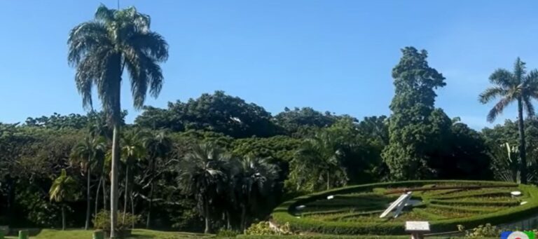 El Jardín Botánico Nacional, un oasis de tranquilidad en medio del caos de la ciudad