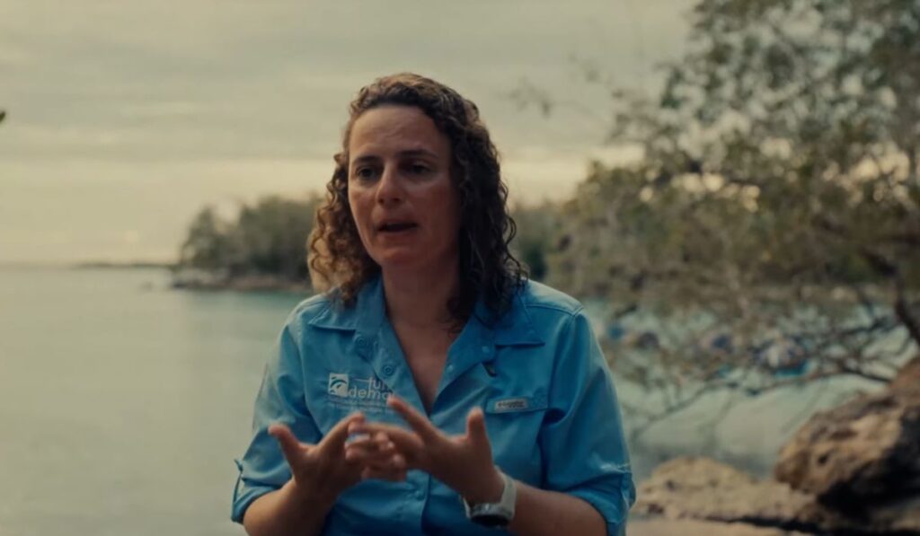 el proyecto ya cuenta con el apoyo de actores clave de la industria