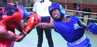El comité organizador está encabezado por el ingeniero Franklin de la Mota, viceministro de Deportes. El torneo, que culminará la noche de este sábado, cuenta con el apoyo del Ministerio de Deportes y Recreación, Ayuntamiento de Sabana Grande de Boyá, Plan Social de la Presidencia, Comedores Económicos, Instituto Nacional de Estabilización de Precios, Opal Jeans, Agua de Los Manantiales Ferreira, JugoLito, Cooperativa La Candelaria, Departamento Aeroportuario, Defensa Civil, Policía Nacional, entre otras.