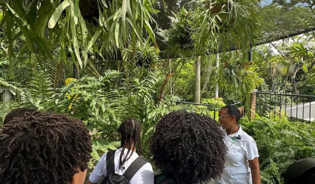 festival nacional de plantas y flores