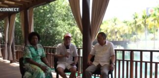  hacienda tres ríos, un paraíso en medio de la rivera maya el show del mediodía
