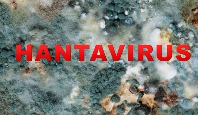 Guía del Hantavirus: Qué es, cómo se contagia y por qué es tan peligroso