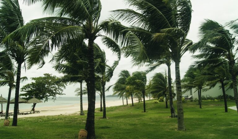 Hoy martes nos espera un cielo con nubes dispersas y escasas precipitaciones