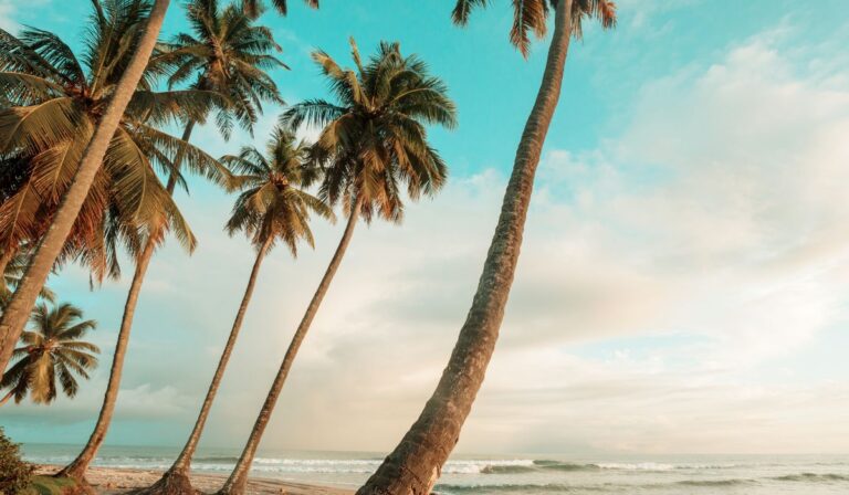 Nubes dispersas a medio nublado y lluvias aisladas en algunas provincias