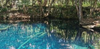 hoyo claro un tesoro escondido en punta cana