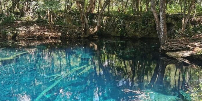 hoyo claro un tesoro escondido en punta cana