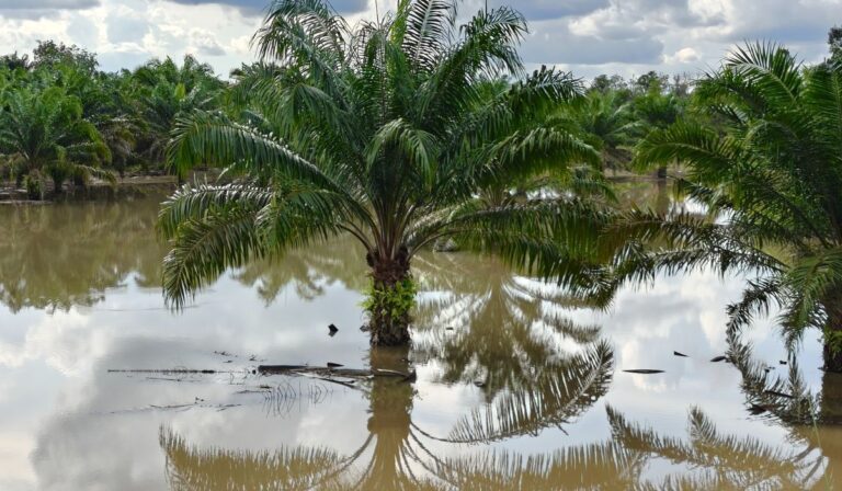 Indomet pide estar atentos: Precipitaciones podrían generar inundaciones