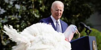 Joe-Biden-indulta-a-dos-pavos-en-su-81-cumpleaños