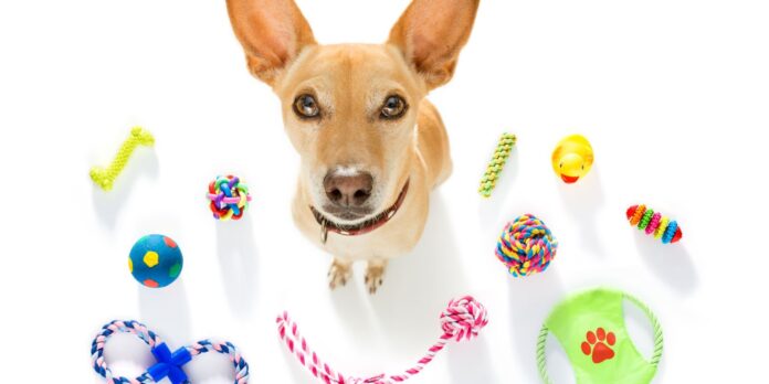 Juguetes para mascotas claves para elegir el adecuado y fomentar su bienestar