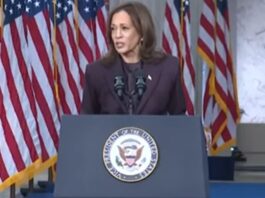 Kamala Harris acepta la derrota y felicita a Trump