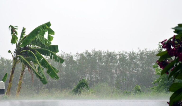 La incidencia de un frente frío provocarán incrementos nubosos y precipitaciones