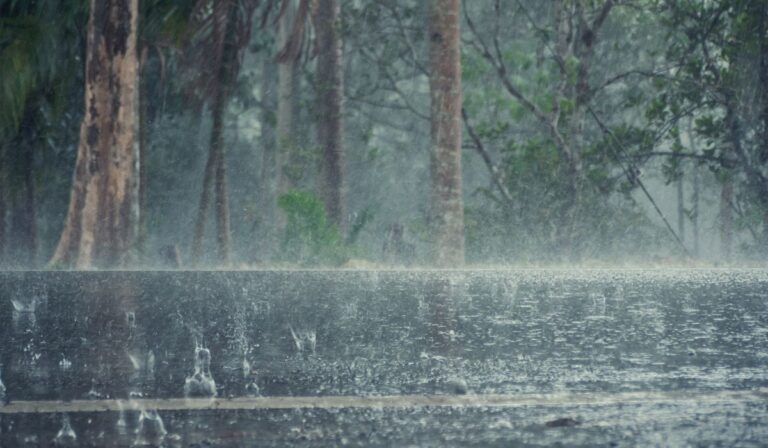 Las condiciones meteorológicas seguirán bajo la incidencia de una vaguada