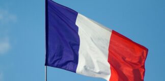Le Pen vence en la primera vuelta de las legislativas de Francia