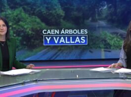 Lluvias causan estragos en árboles y vallas