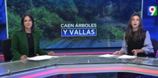 Lluvias causan estragos en árboles y vallas