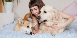 Lo bueno y lo malo de dormir con tu mascota