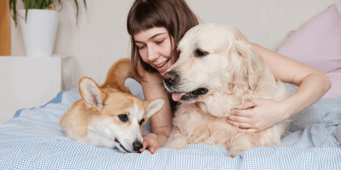 Lo bueno y lo malo de dormir con tu mascota