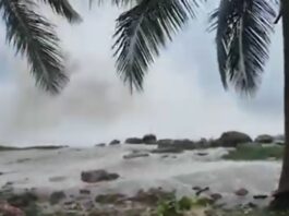 Los desastres del Huracán Beryl al paso por la República Dominicana