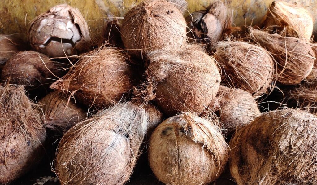 los dulces típicos que debes probar en república dominicana esta semana santa