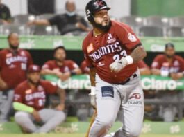 Los Gigantes del Cibao liberan a 10 jugadores antes del draft