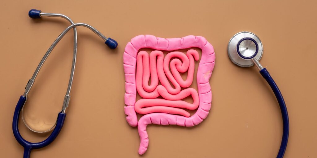 matener la salud intestinal es prevenir enfermedades
