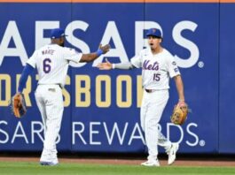 Mets de Nueva York quedan a solo un triunfo de la Serie Divisional