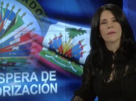 Misión de la OEA espera autorización de Haití