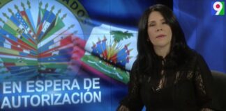 Misión de la OEA espera autorización de Haití