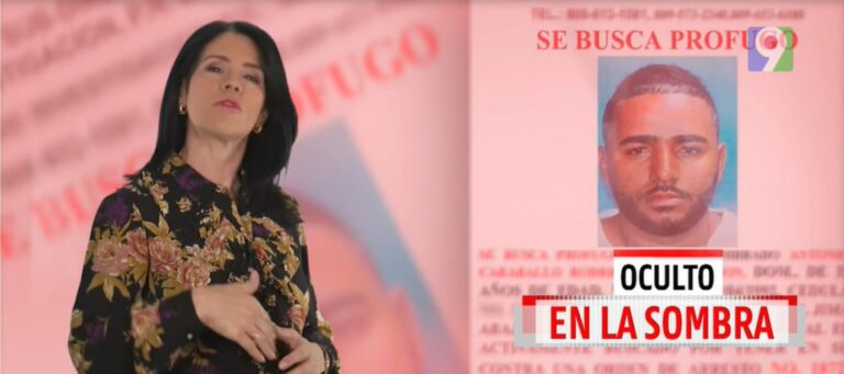 Oculto en las sombras | El Informe con Alicia Ortega