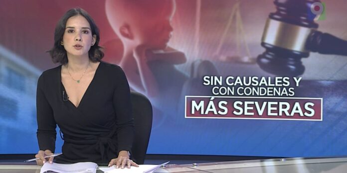 persisten diferencias sobre aborto en el proyecto del código penal