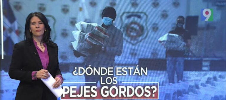 Perspectiva de Alicia Ortega: Donde están los Pejes gordos | Emisión Estelar SIN