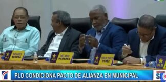 PLD condiciona pacto de alianza municipales/ Emisión Estelar con Alicia Ortega