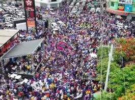 PLD muestra fuerzas en su marcha en Santo Domingo