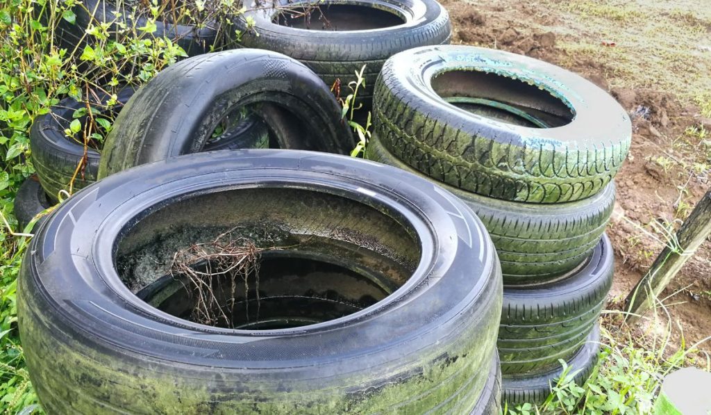 por eso es muy importante saber ¿cómo se contagia