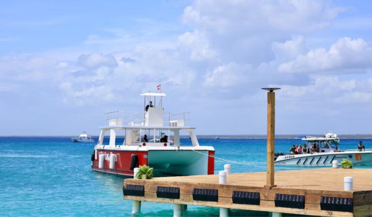 Puesta en marcha la construcción de un club de playa en Isla Catalina