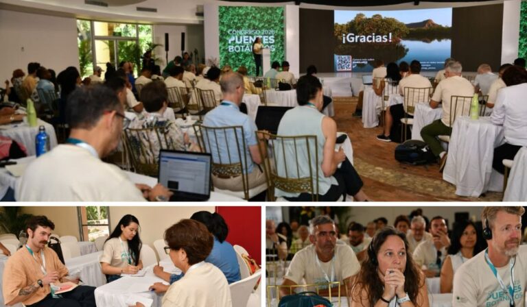 Santo Domingo despide hoy el Congreso Internacional «Puentes Botánicos»