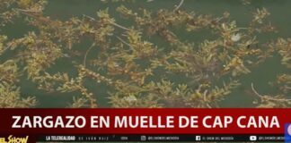 Sargazo en muelle de Cap Cana por Daniel Lajara